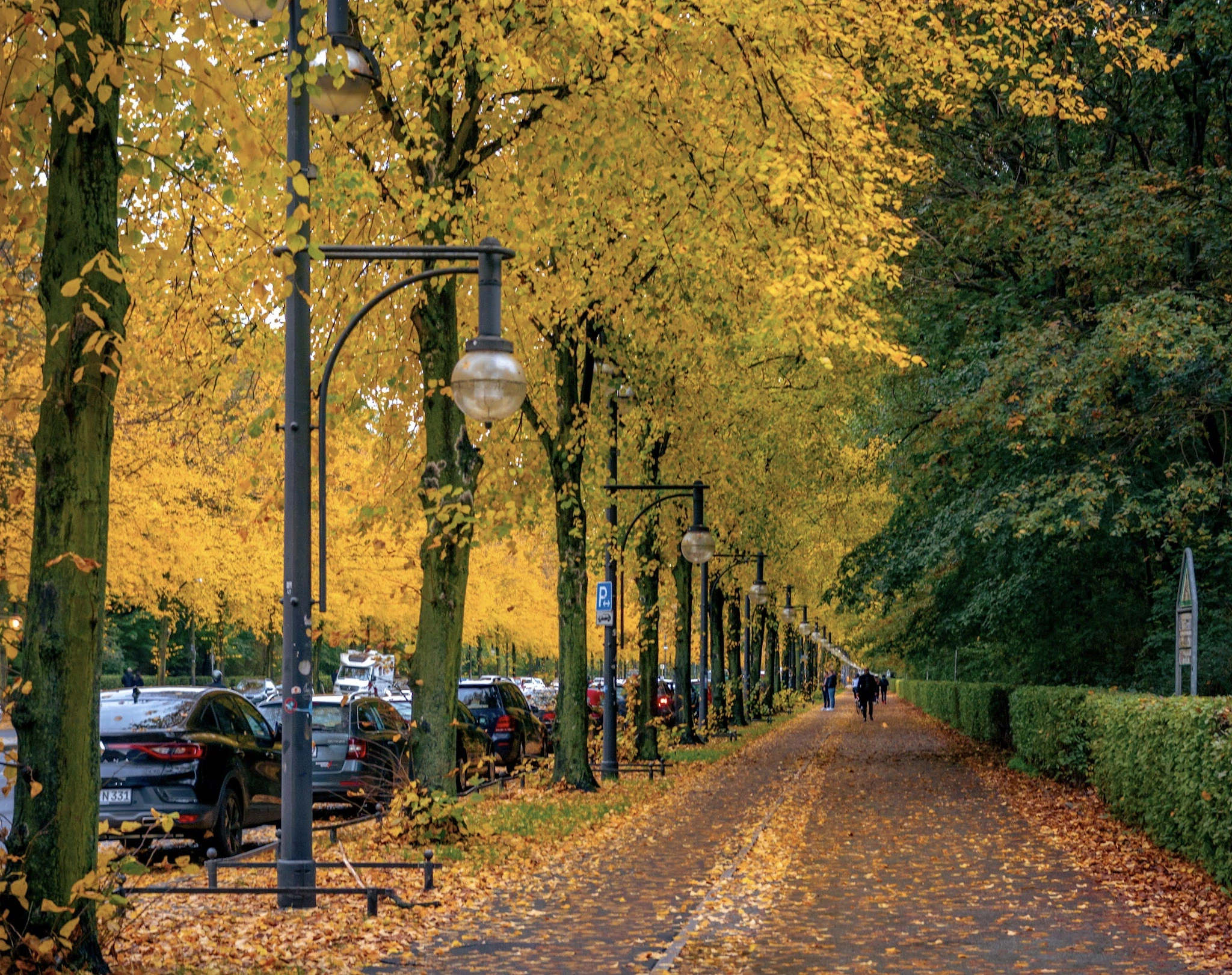 People walking and cycling along a tree-lined avenue covered with golden leaves.