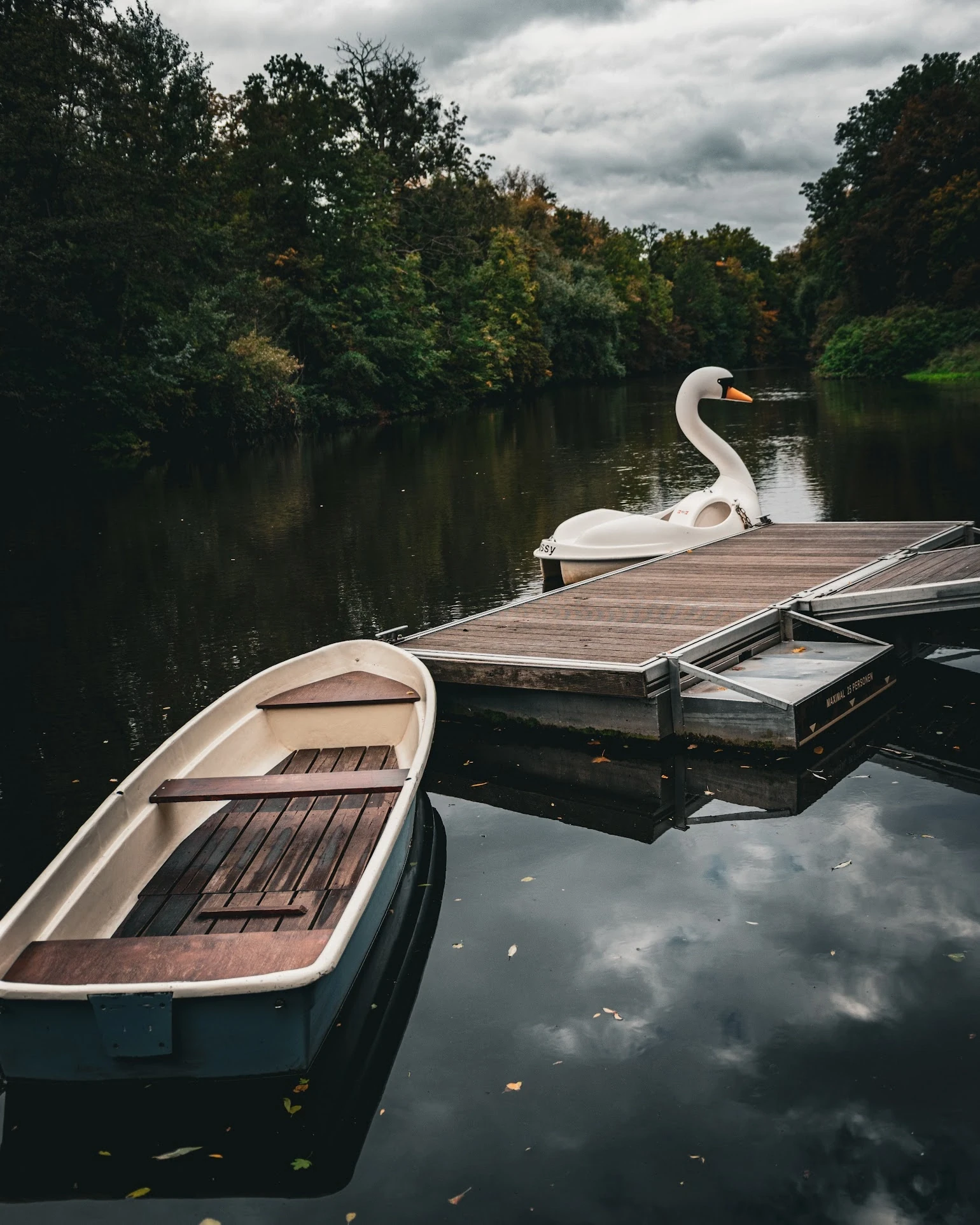 A white swan beside wooden rowing boats on still, shaded water.