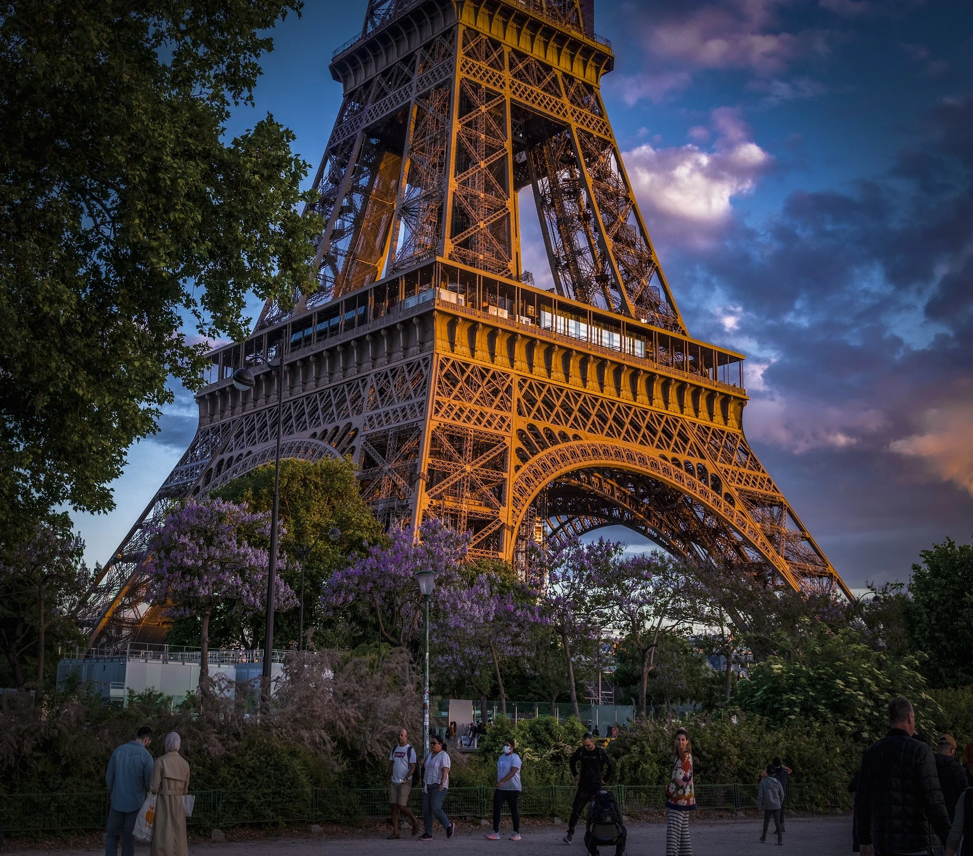 The illuminated Eiffel Tower rising above trees at dusk.